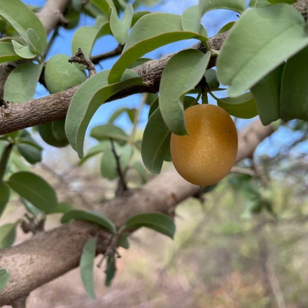 404181406_328161036630477_8544708122609718834_n