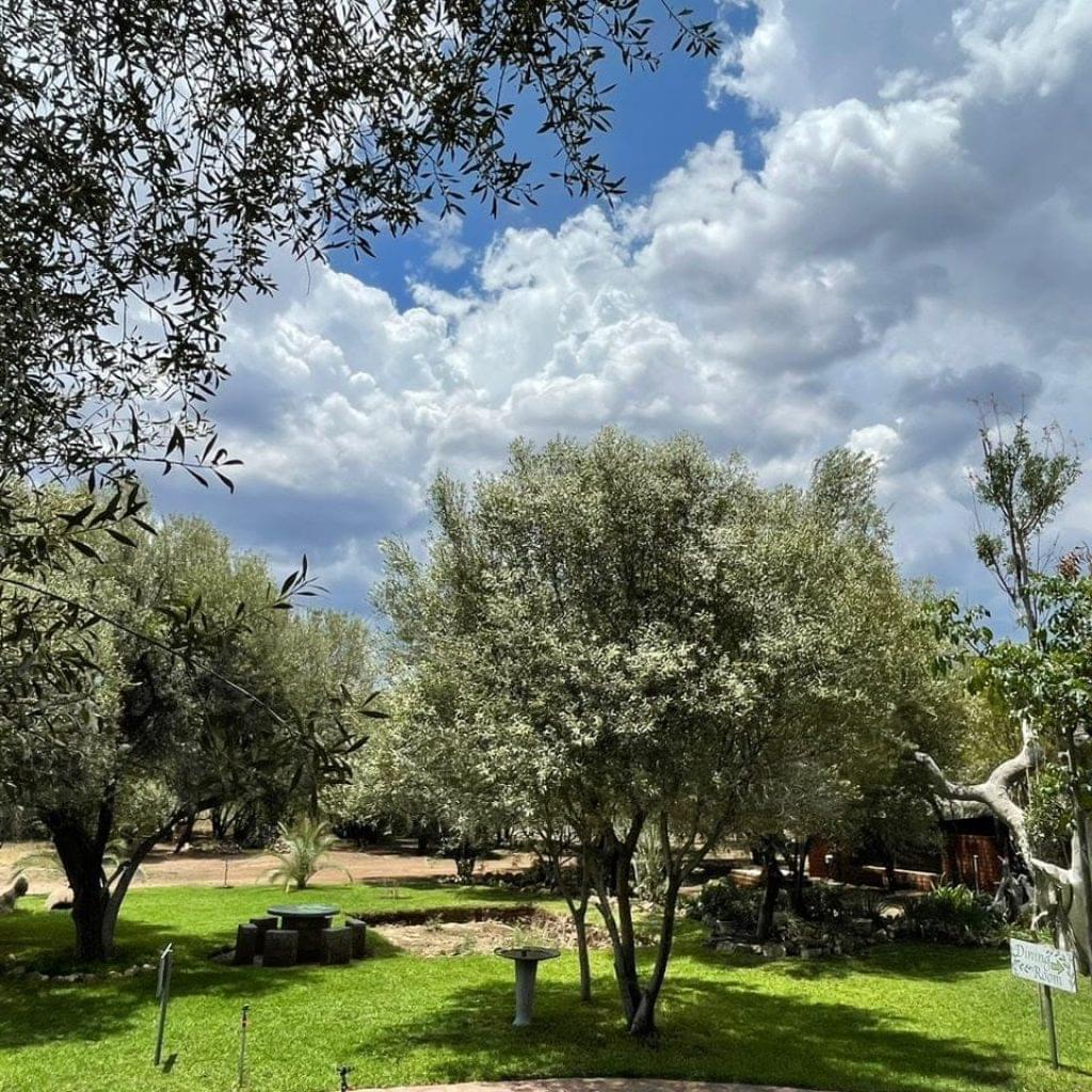 404227030_328161066630474_1173254909832500316_n