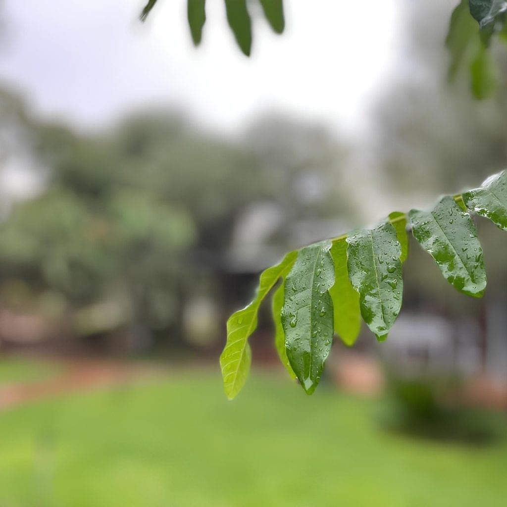 404407715_328161129963801_2728168951038429241_n (1)